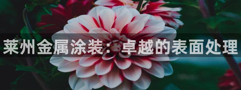 美高梅大酒店老板是谁