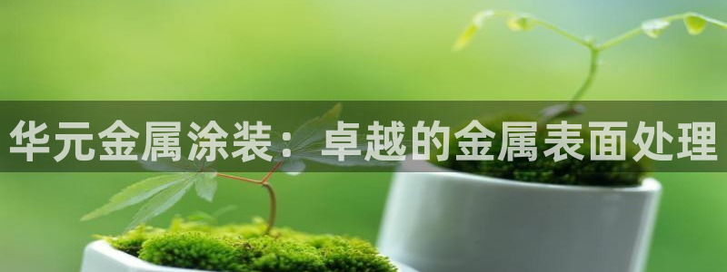 美高梅别墅房价
