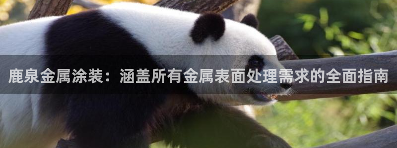 美高梅西岸
