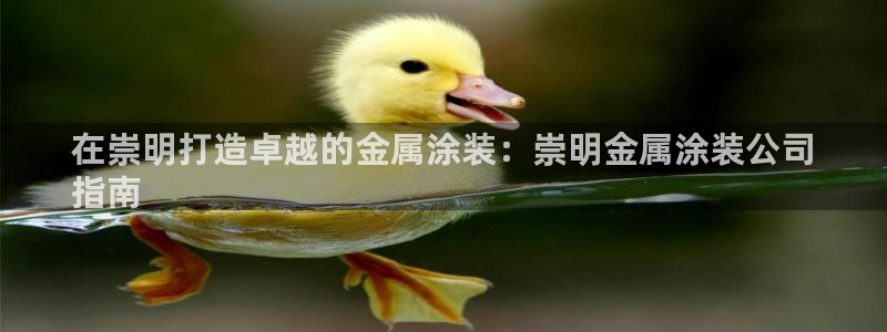美高梅何超琼香港女首富