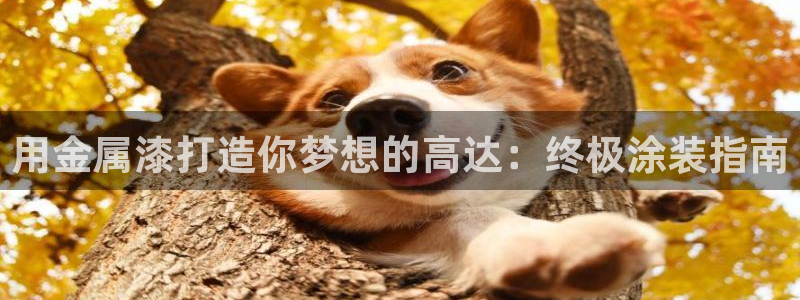 鲁能钓鱼台美高梅公馆别墅