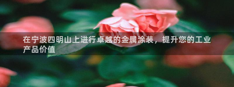 美高梅会员卡升级