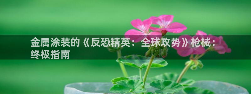 美高梅是哪个酒店集团