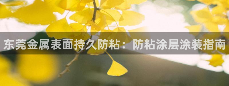 美高梅黑我钱怎么办