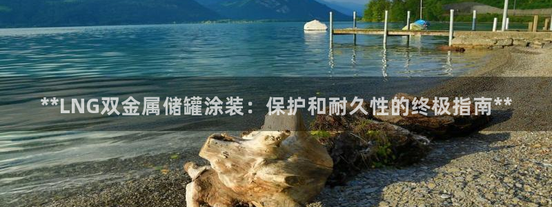 美高梅公司的社会信用代码查询