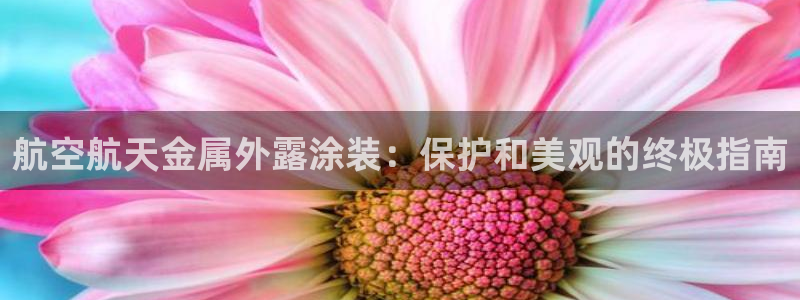 美高梅公司旗下有哪些公司