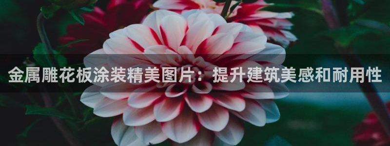 美高梅酒店拖鞋