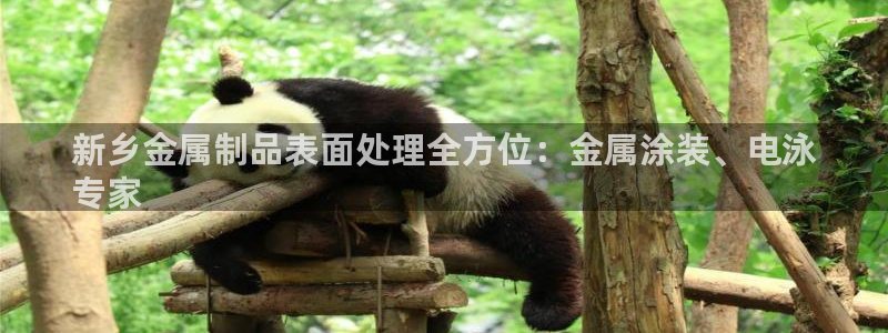 美狮美高梅酒店港澳快线