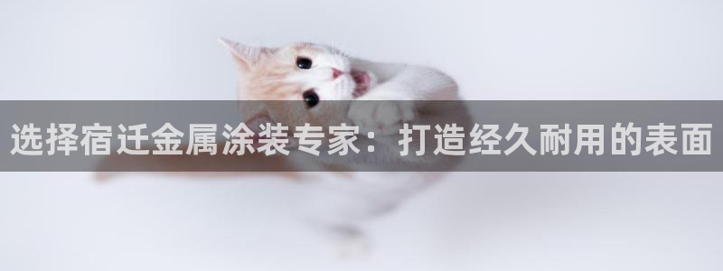美高梅大酒店招聘