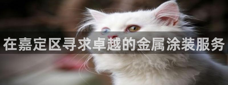 美高梅会员卡等级怎么看