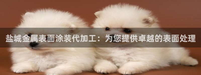 美高梅会员卡级别分类图片