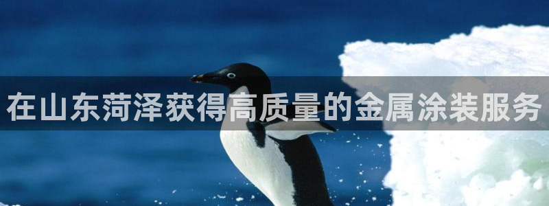 美高梅会员卡积分能在哪里使用