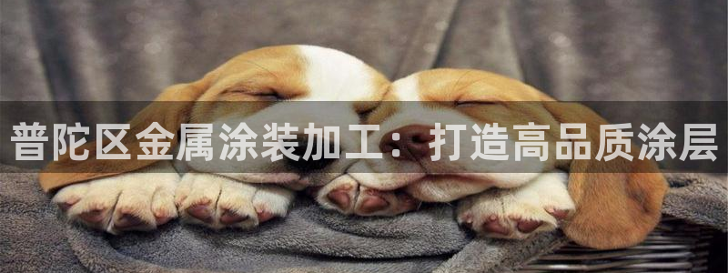 美高梅股票价格
