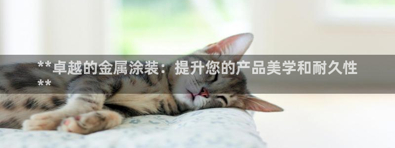 美高梅酒店标志