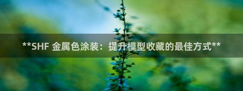 美狮美高梅美食
