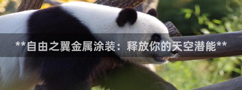 美狮美高梅商场