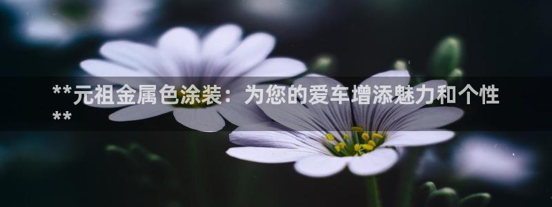 美高梅酒店多少层