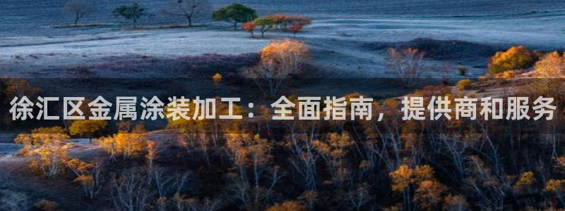 美高梅酒店拖鞋