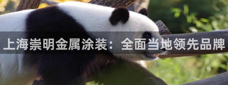 美高梅---国际品牌--值得信赖