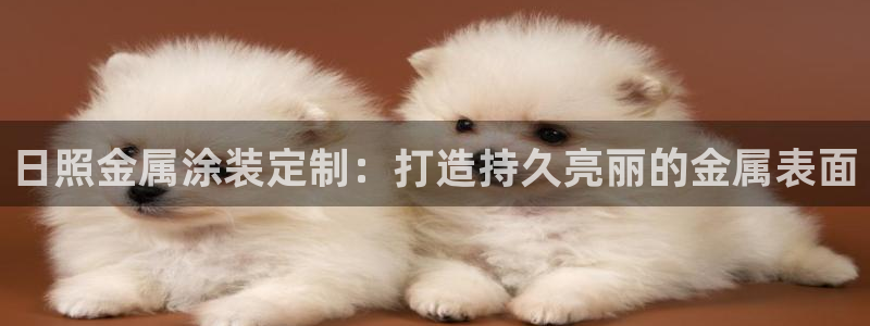 美高梅大酒店哪些省份有