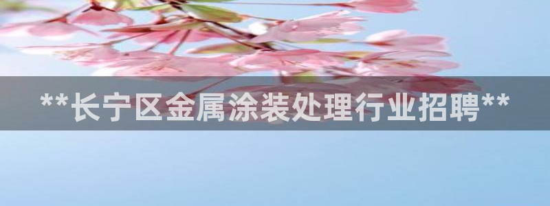 美高梅酒店和丽思卡尔顿哪个好