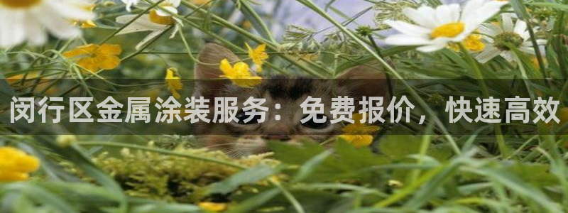 美狮美高梅酒店美艺客房
