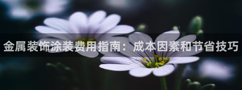 美高梅拉斯维加斯大酒店