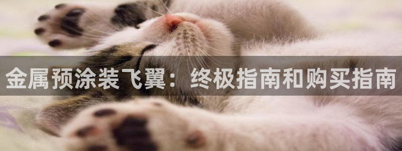 美狮美高梅酒店会员