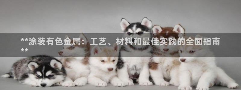 美高梅股票代码02282最近行情怎么样