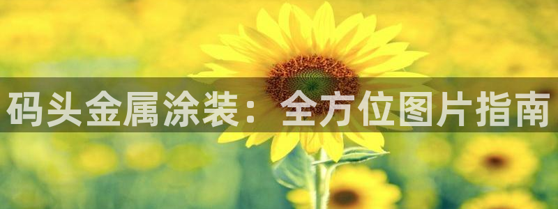 美高梅美狮酒店介绍