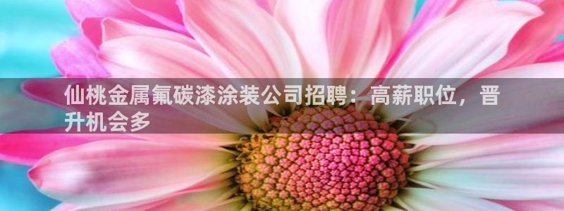 美高梅酒店里的饮料免费吗