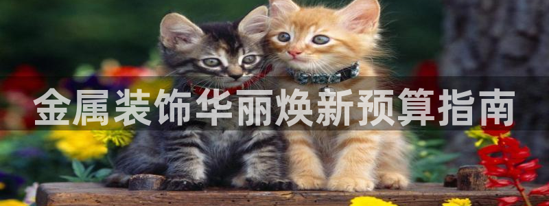 美狮美高梅酒店发财车在哪里