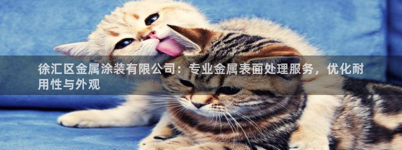美高梅会员卡免费吗