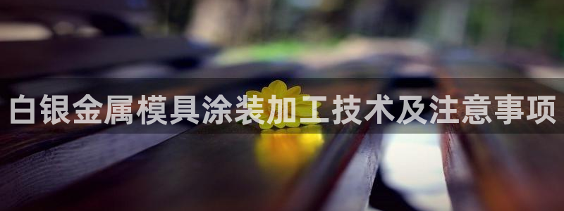 美高梅会员卡