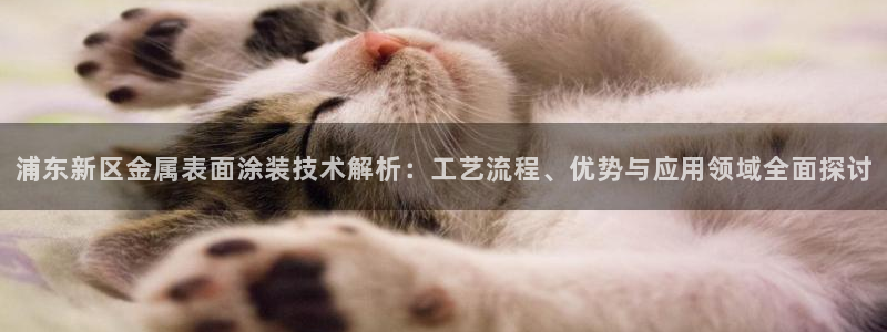 美高梅咖啡多少钱一杯正常