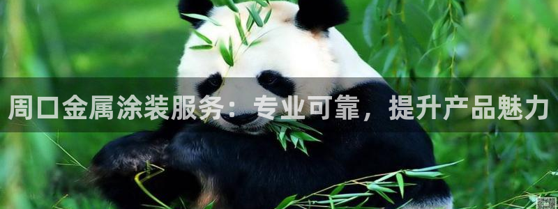 美高梅酒店在哪个区