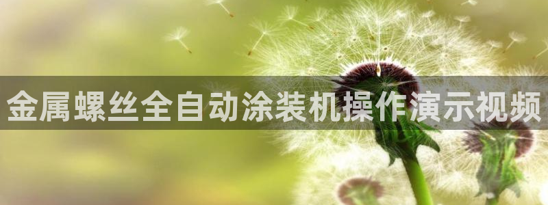 美高梅筹码最低多少钱一个