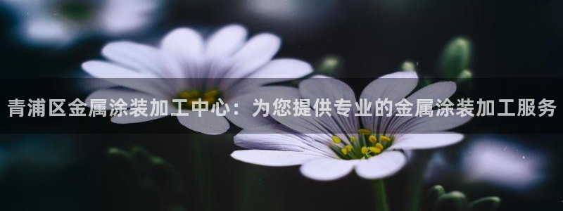 三亚美高梅酒店老板是谁