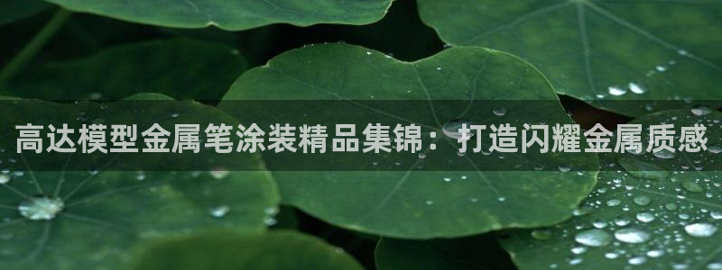美高梅飞鱼表演在哪里