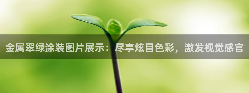 美高梅儿童泳池关闭
