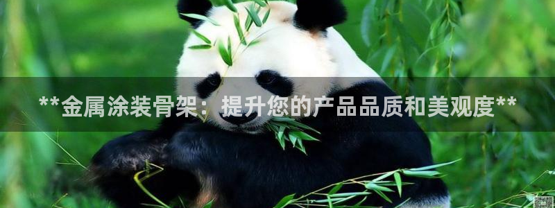 美高梅会员卡怎么办理的