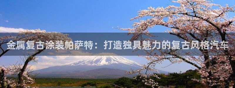 美高梅酒店集团简介