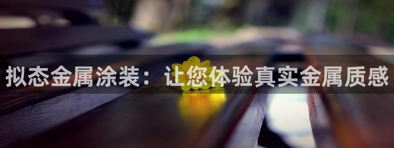 美高梅黑卡条件