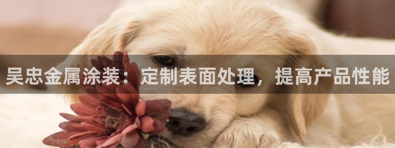 美高梅黑卡最低多少积分