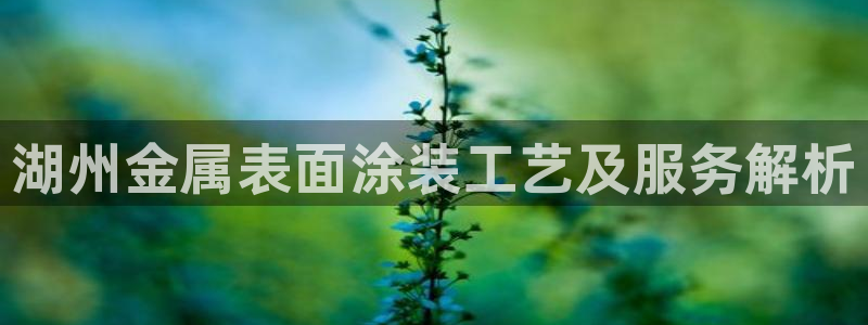美高梅和永利是一家吗