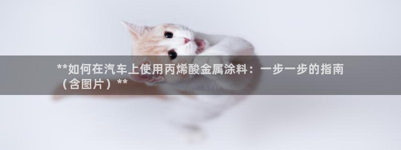 美高梅租房