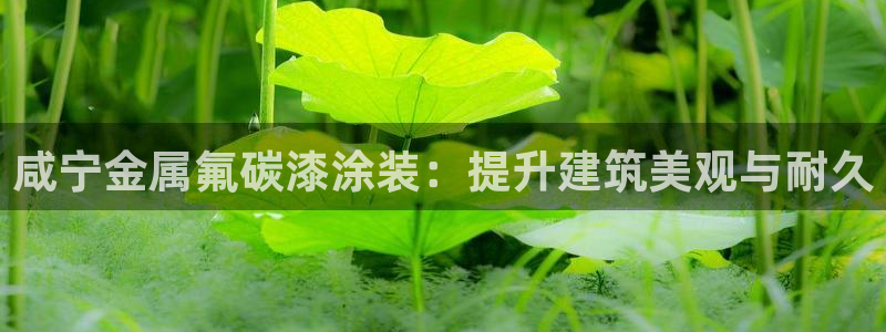 鲁能钓鱼台美高梅售楼处