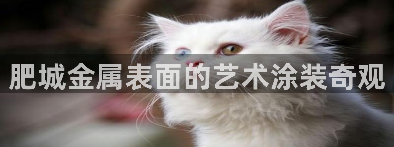 美高梅为什么是35层纪念陈百强