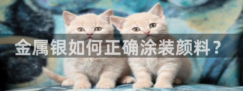 美高梅房价多少丰台