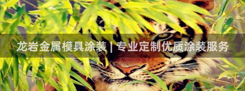 美高梅官网手机版下载